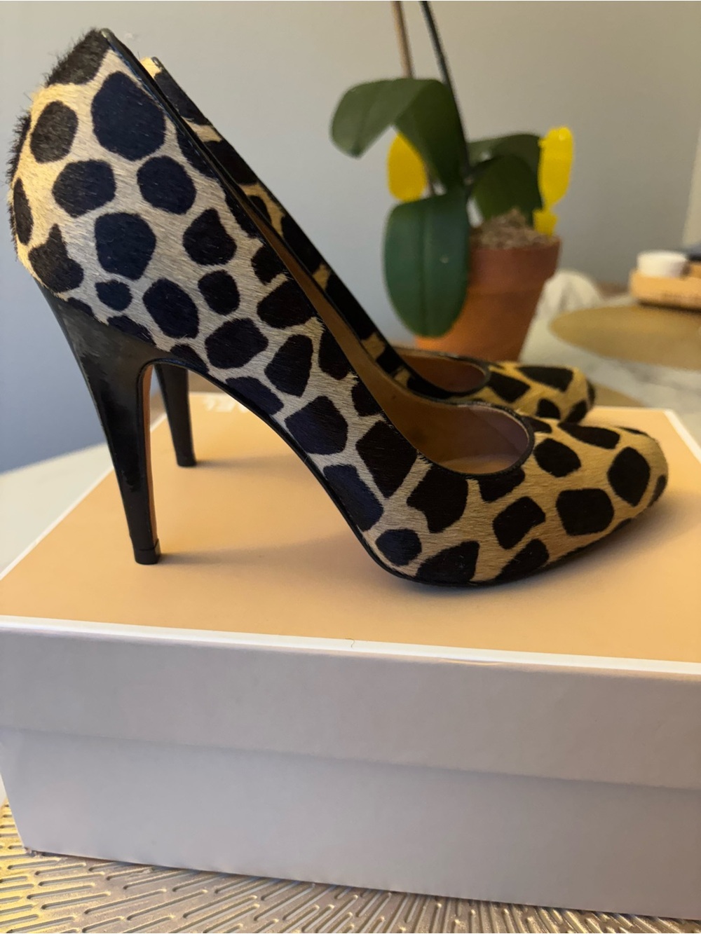 Women’s Boutique 9 Leopard Print Pumps in Black and Tan patent leather 9M